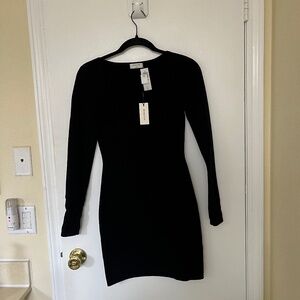 Aritzia Babaton Dress